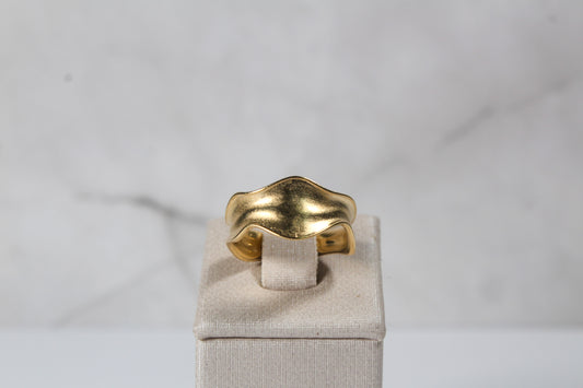 Anillo de onda