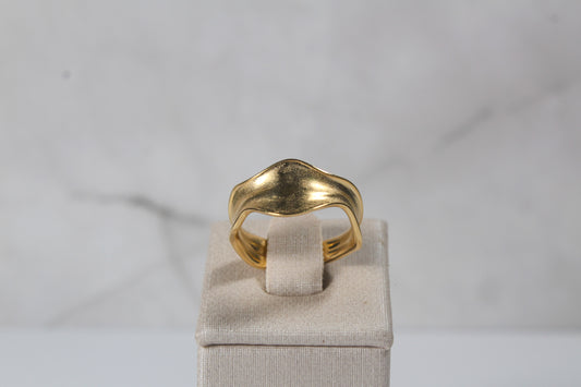 Anillo de onda